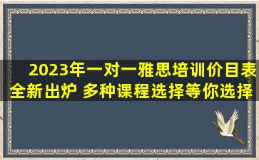 2023年一对一雅思培训价目表全新出炉 多种课程选择等你选择